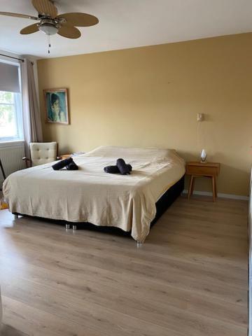 מידלבורג Sunnystay 43 מראה חיצוני תמונה