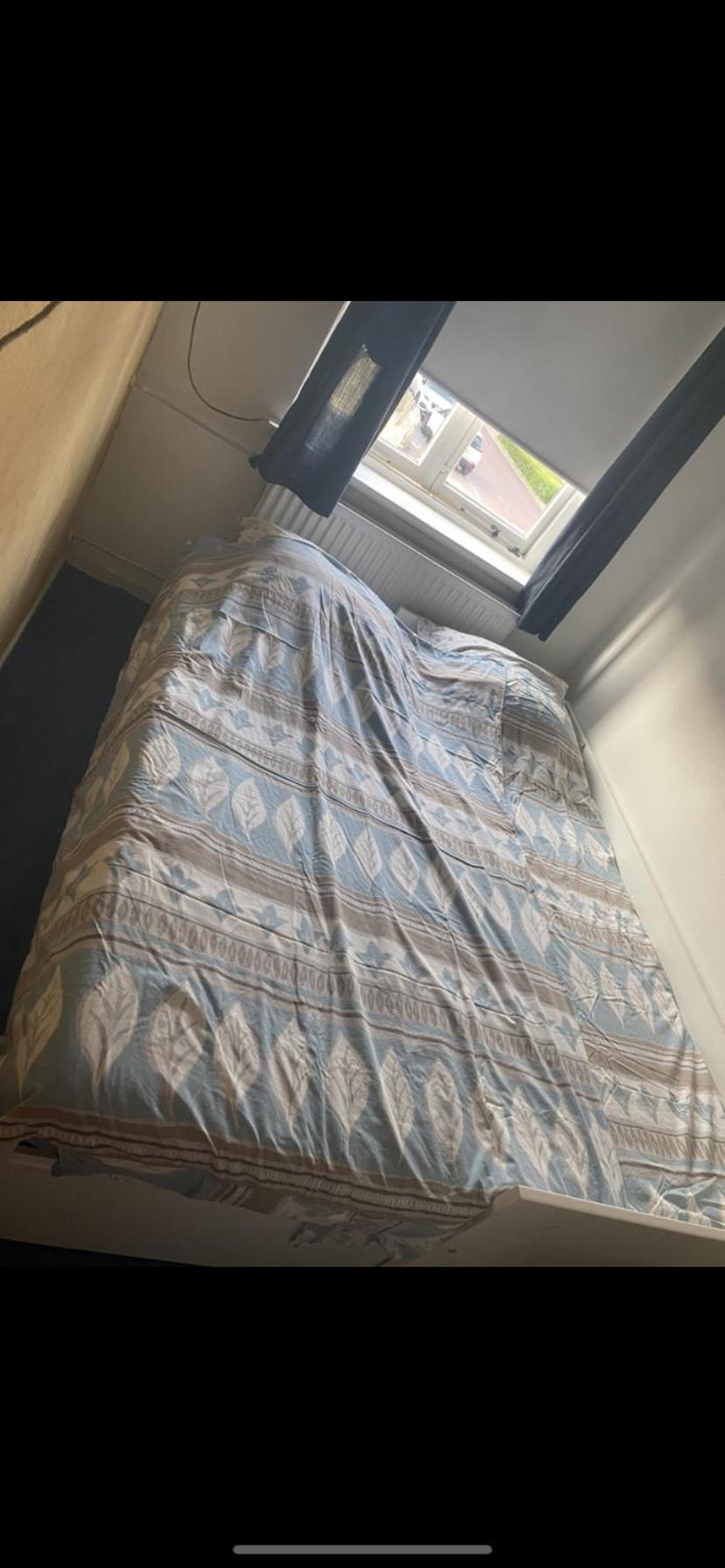 מידלבורג Sunnystay 43 מראה חיצוני תמונה