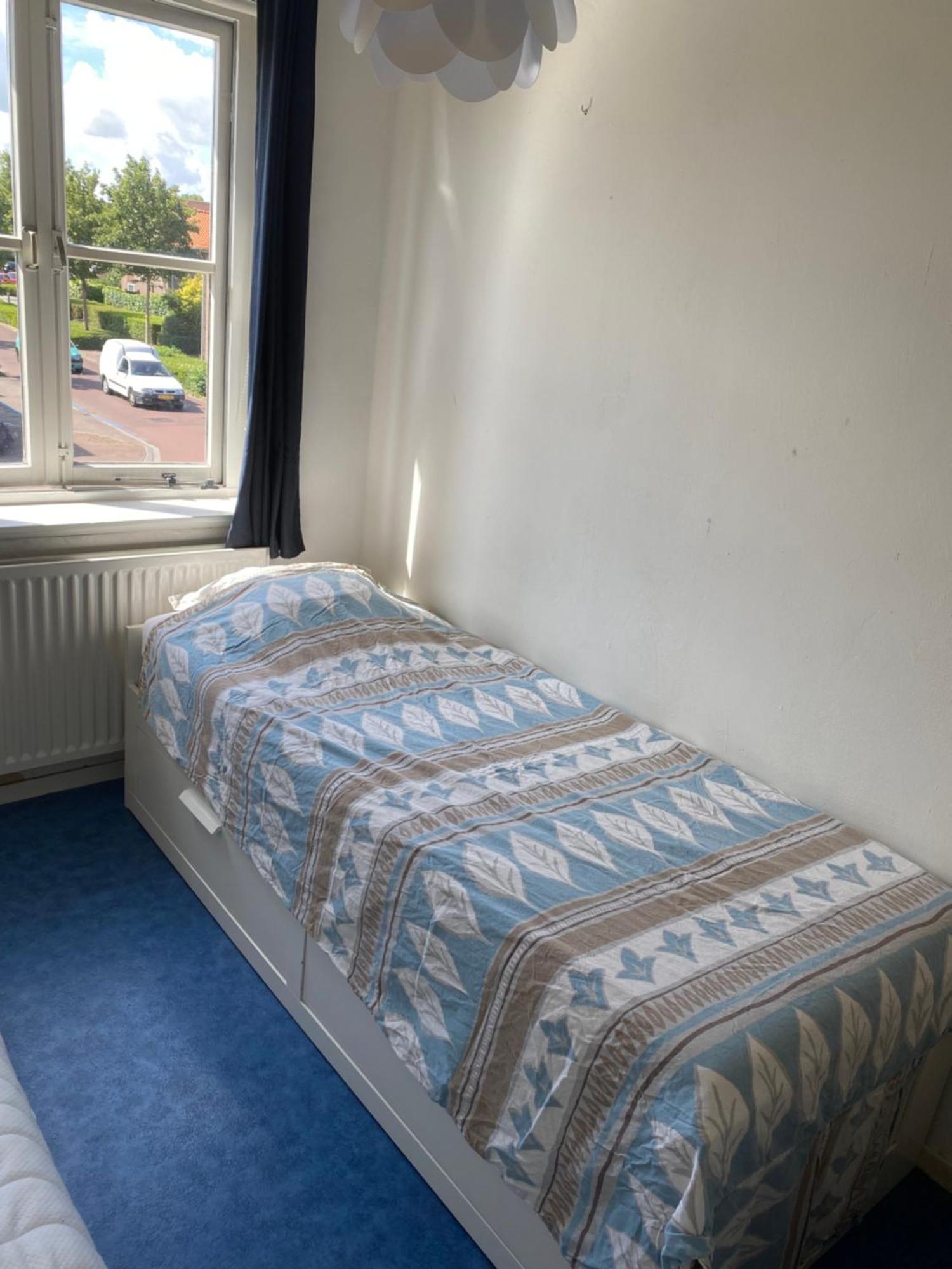 מידלבורג Sunnystay 43 מראה חיצוני תמונה